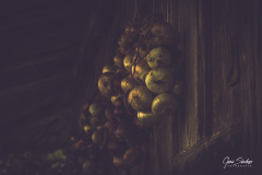 Cebollas-colgadas-en-horreo