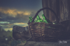 Sidra-en-el-horreo