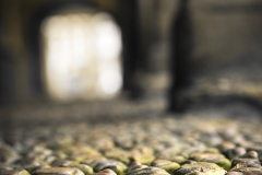 Aviles-medieval-01