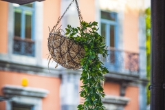 Calle-Galiana-Aviles