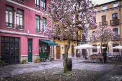 Calle-del-Sol-Aviles