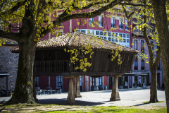 Horreo-del-Carbayedo