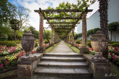 Jardin-Frances-Aviles