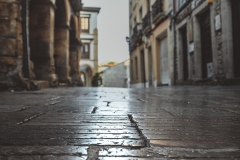 La-Ferreria-de-Aviles