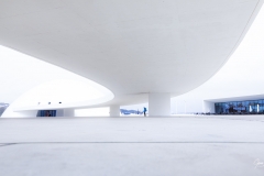 Niemeyer-Aviles-01