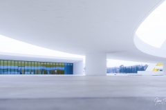 Niemeyer-Aviles-02