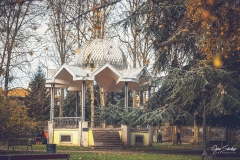 Parque-Ferrera-otono-04