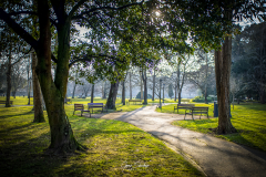 Parque-ferrera-Aviles