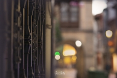 Rivero-de-noche-Aviles