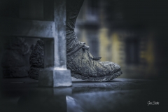 Zapato-de-Carreno-Miranda