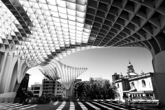 Seta de Sevilla
