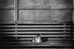Esperando-el-autobus