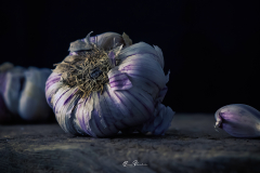 Ajo-morado