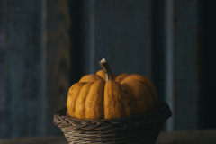 Calabaza-en-casta