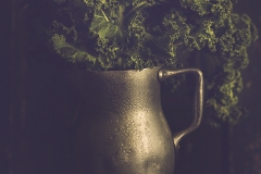 Comida-decorativa