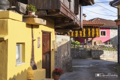 Pillarno pueblo