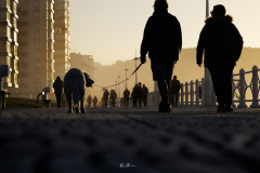 SAlinas-el-paseo-de-los-perros-al-atardecer