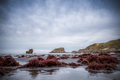 Santa-Maria-del-Mar-ocle