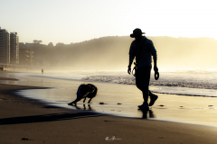 Una-tarde-de-playa-gran-regalo-para-un-perro