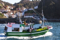 Barco entrando en puerto