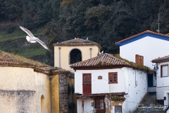 Cudillero 07