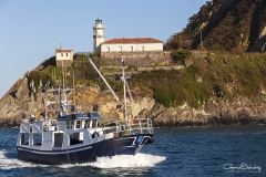Cudillero-puerto
