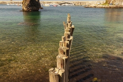 Puerto de Cudillero (1)