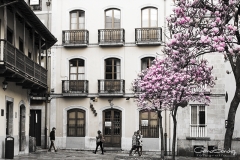 Calle del Sol Avilés