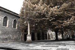 San Nicolás de Bari. Avilés 02