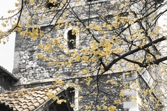 San Nicolás de Bari. Avilés