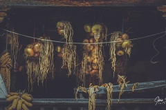 Cebollas-en-balcón-