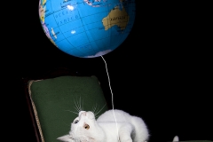 El mundo se me viene encima