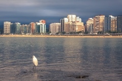 Despues-de-la-tormenta