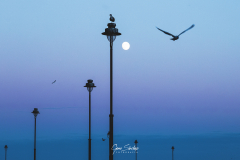 Anochecer-en-el-puerto