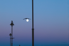 Luanco-puerto-noche
