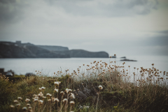 Verdicio-entorno-natural