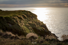 Verdicio-y-la-mar