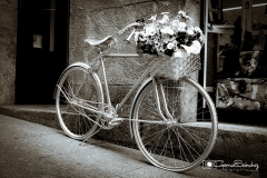 Bicicleta 0911