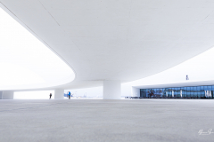 Niemeyer-Aviles-02