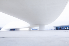 Niemeyer-Aviles-03