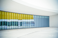 Niemeyer-Aviles-04