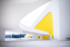 Niemeyer-Aviles-05