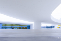Niemeyer-Aviles-06