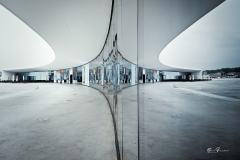 Niemeyer-Aviles-10