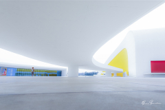 Niemeyer-Aviles-11