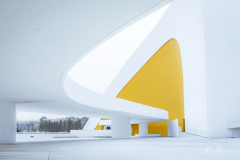 Niemeyer-Aviles-12-1