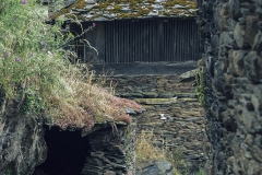 Caleya-de-San-Esteban-de-los-Buitres