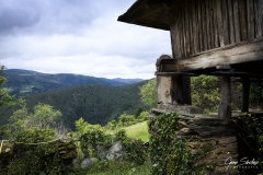 Paisaje-San-Esteban-de-los-Buitres