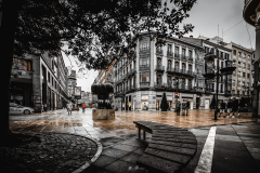Oviedo.-Calle-Pelayo