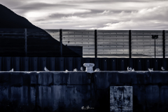 Muelle-industrial-desde-la-ria-de-Aviles